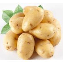 Patatas frescas en venta